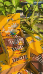 M&M’s Peanut Flavour Chocolate Gift Bags (1080g) 24 x 45g - Image 2