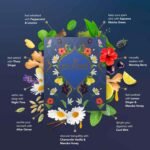 Pukka Herbs Premium Herbal Tea Selection Gift Set Box Ideal Gifts For Women & Men, Birthday, Anniversary & Self-Care Eco-Friendly Selection, 45 Tea Bags, 9 Delicious Flavours - Image 3